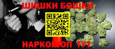 прущие крисы Кингисепп
