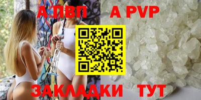 прущие крисы Кингисепп