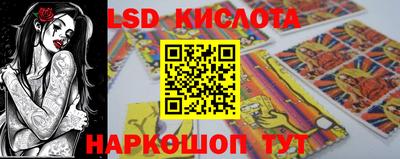 прущие крисы Кингисепп