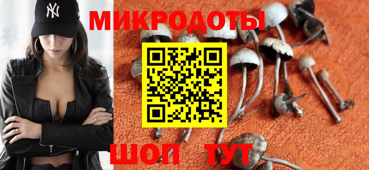Псилоцибиновые грибы ЛСД  Вход с VPN  где купить наркотик  Галлюциногенные грибы Magic Shrooms  Тосно 