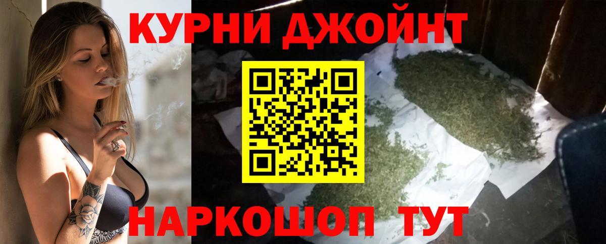 Каннабис SATIVA & INDICA Тосно
